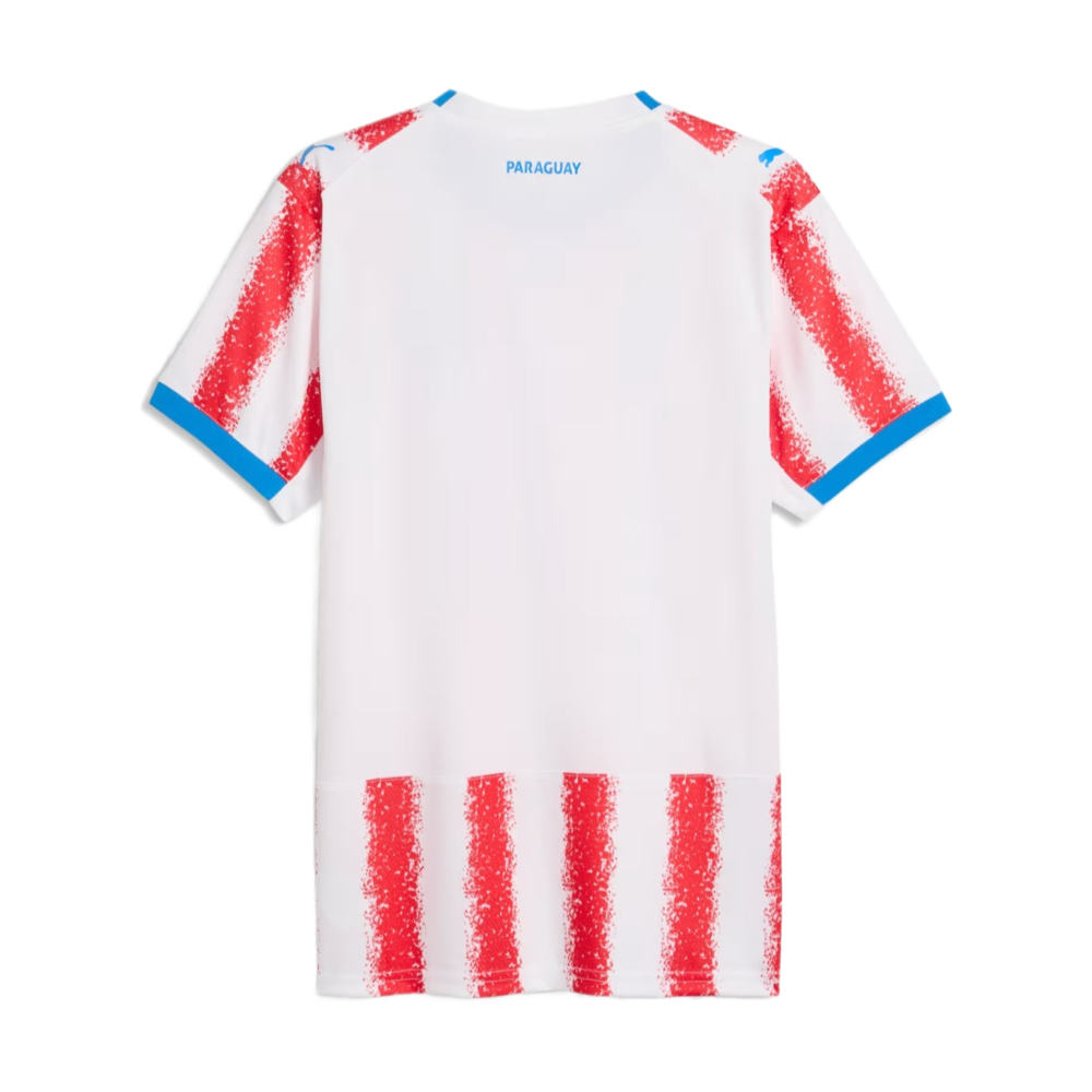 2026 Paraguay Local