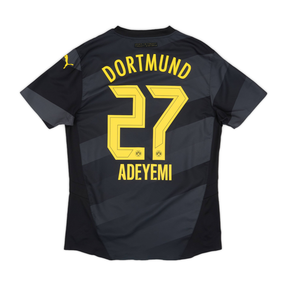 2024-25 Borussia Dortmund Away