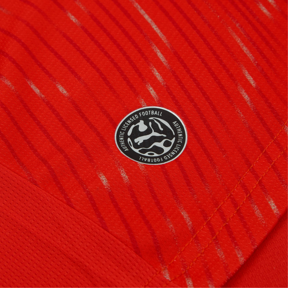 2026 Switzerland Home