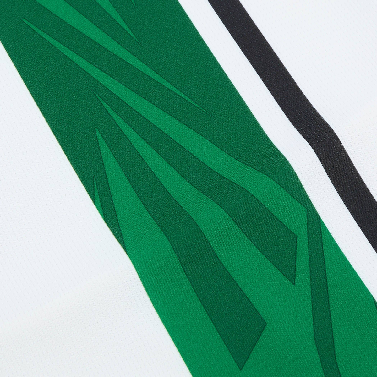 2024-25 Borussia Mönchengladbach Home