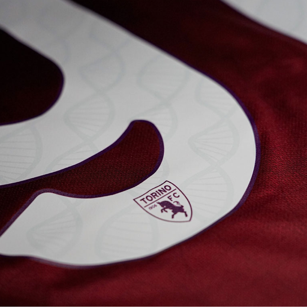 2024-25 Torino FC Home
