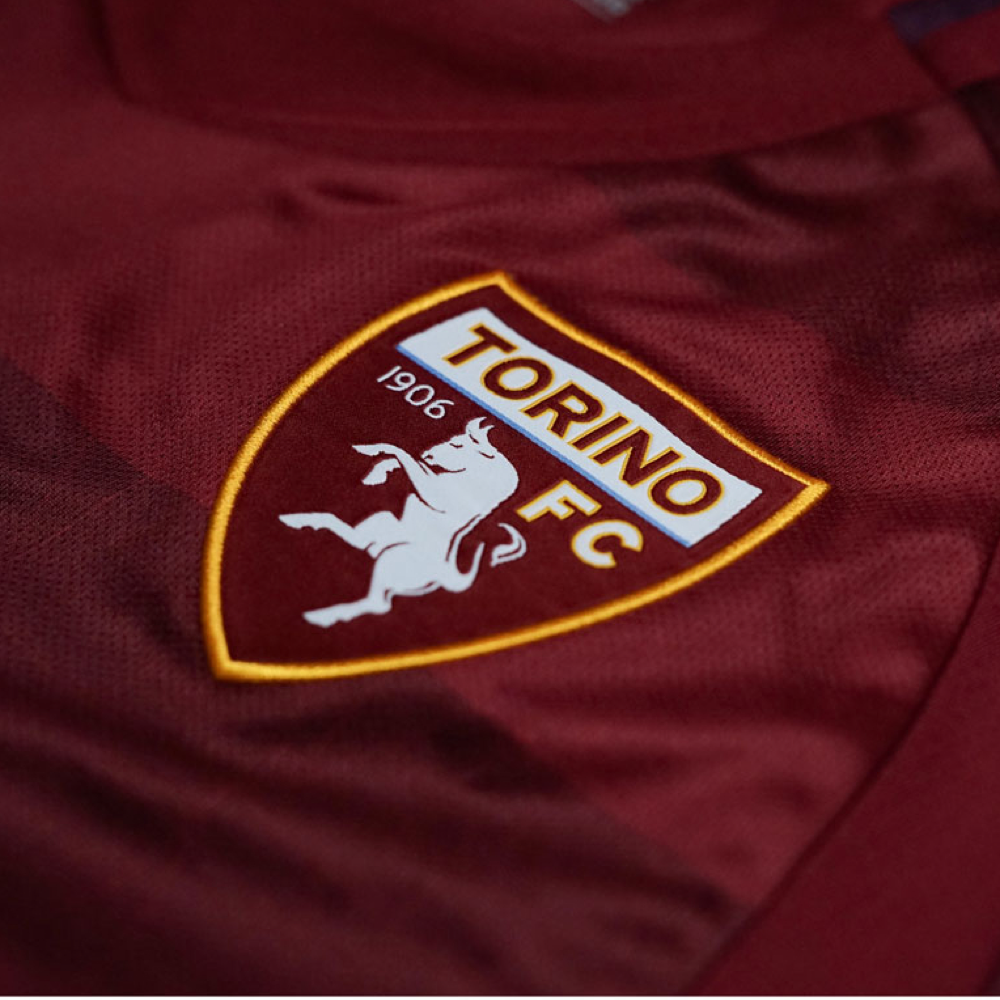 2024-25 Torino FC Home