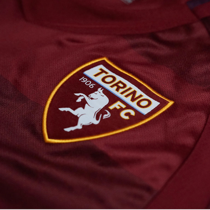 2024-25 Torino FC Home