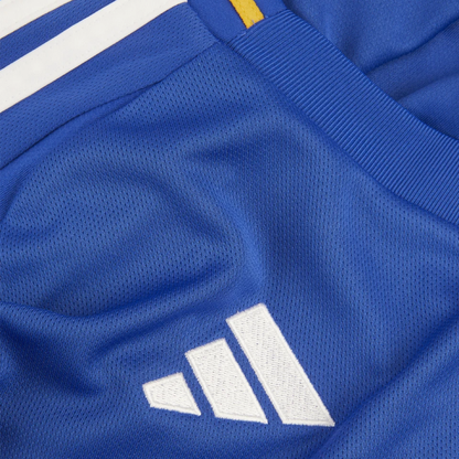 2024-25 Leicester City FC Home