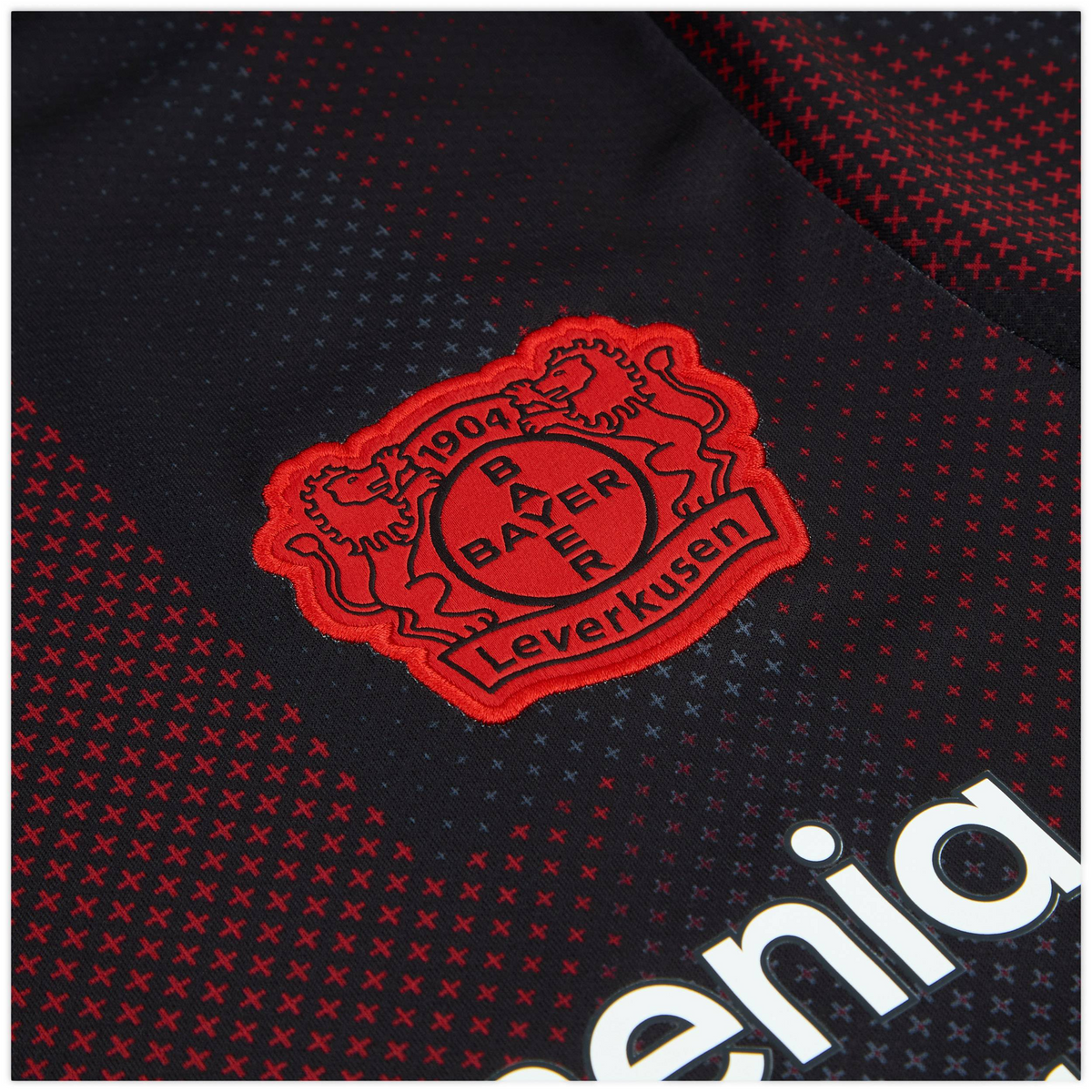2025-26 Bayer 04 Leverkusen Domicile
