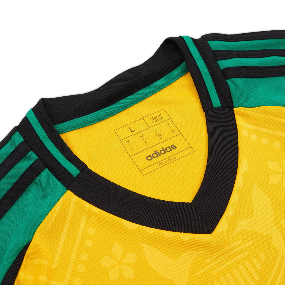 2024 Jamaica Home