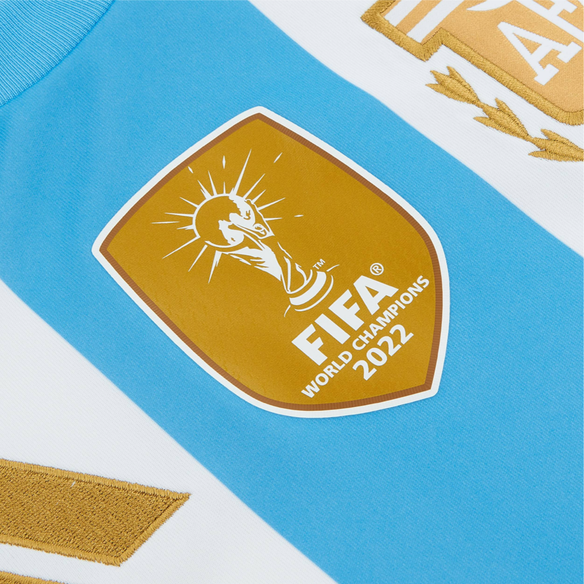 2024 Argentina Home