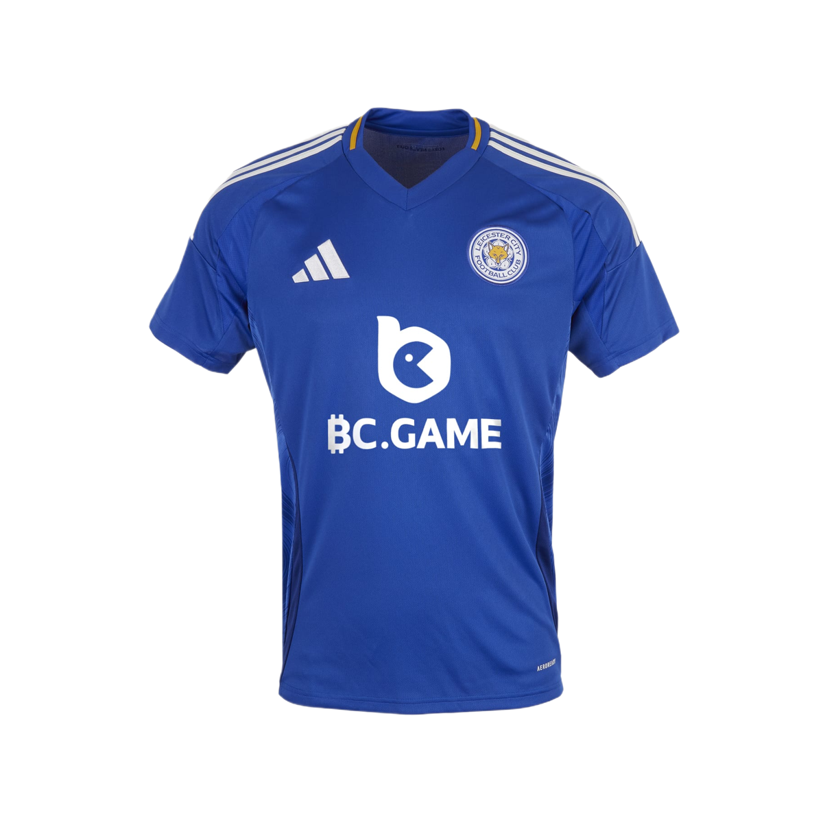 2024-25 Leicester City FC Home