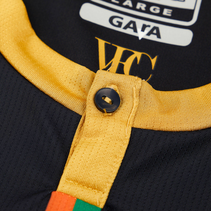2023-24 Venezia FC Home