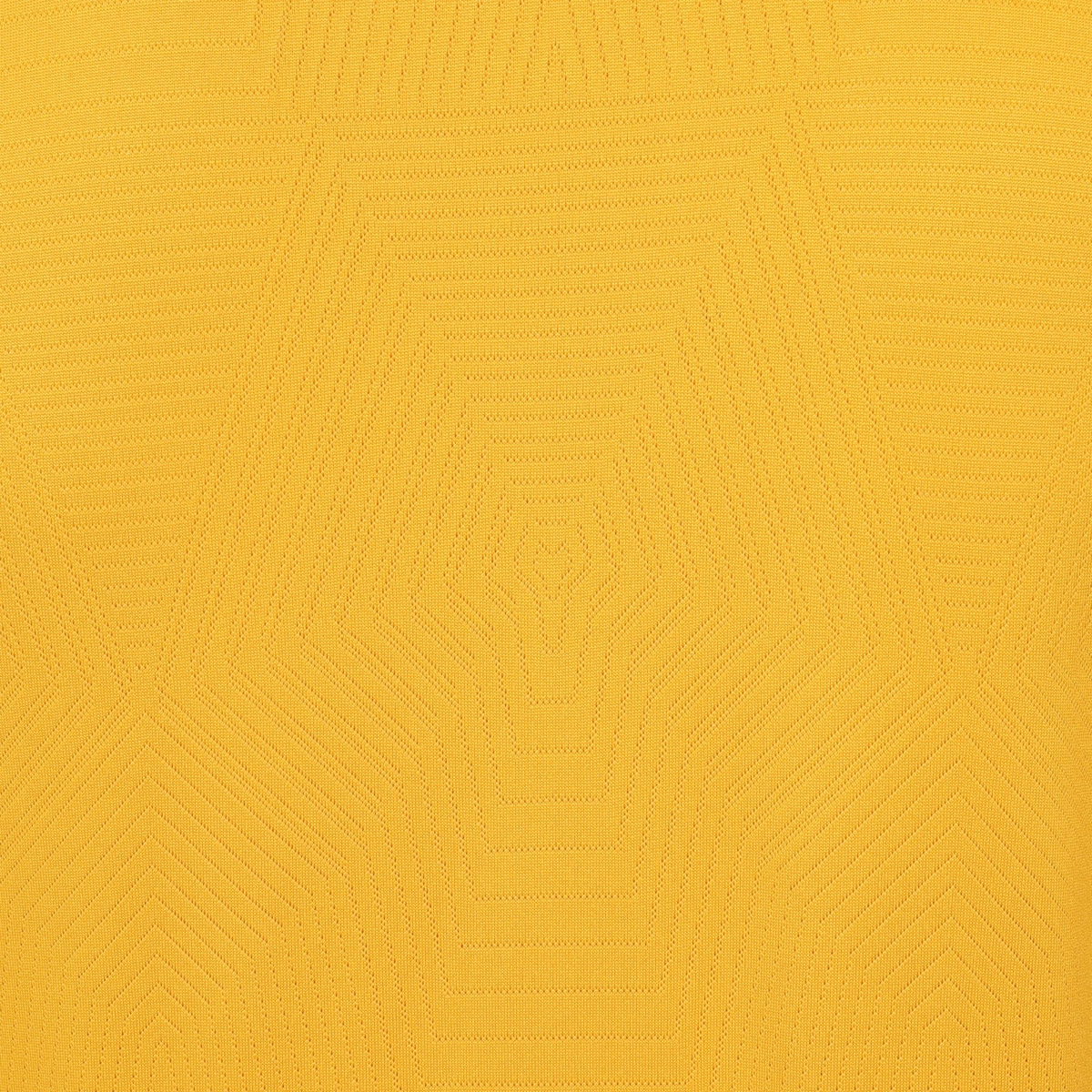 2024-25 Wolverhampton Wanderers FC Home