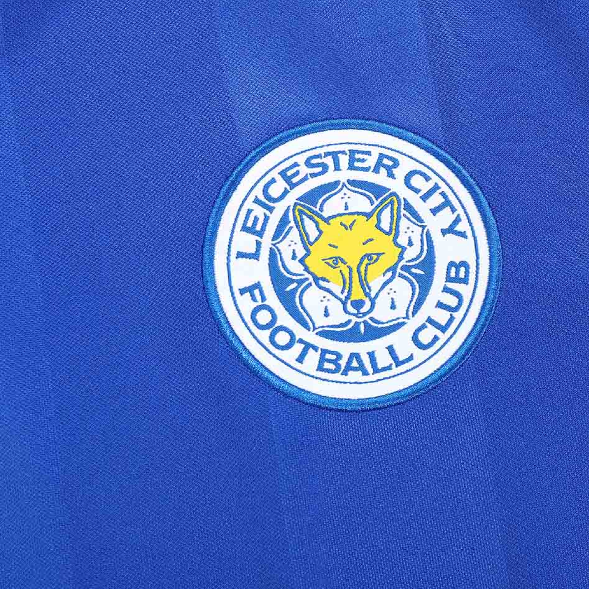 2015-16 Leicester City FC Home