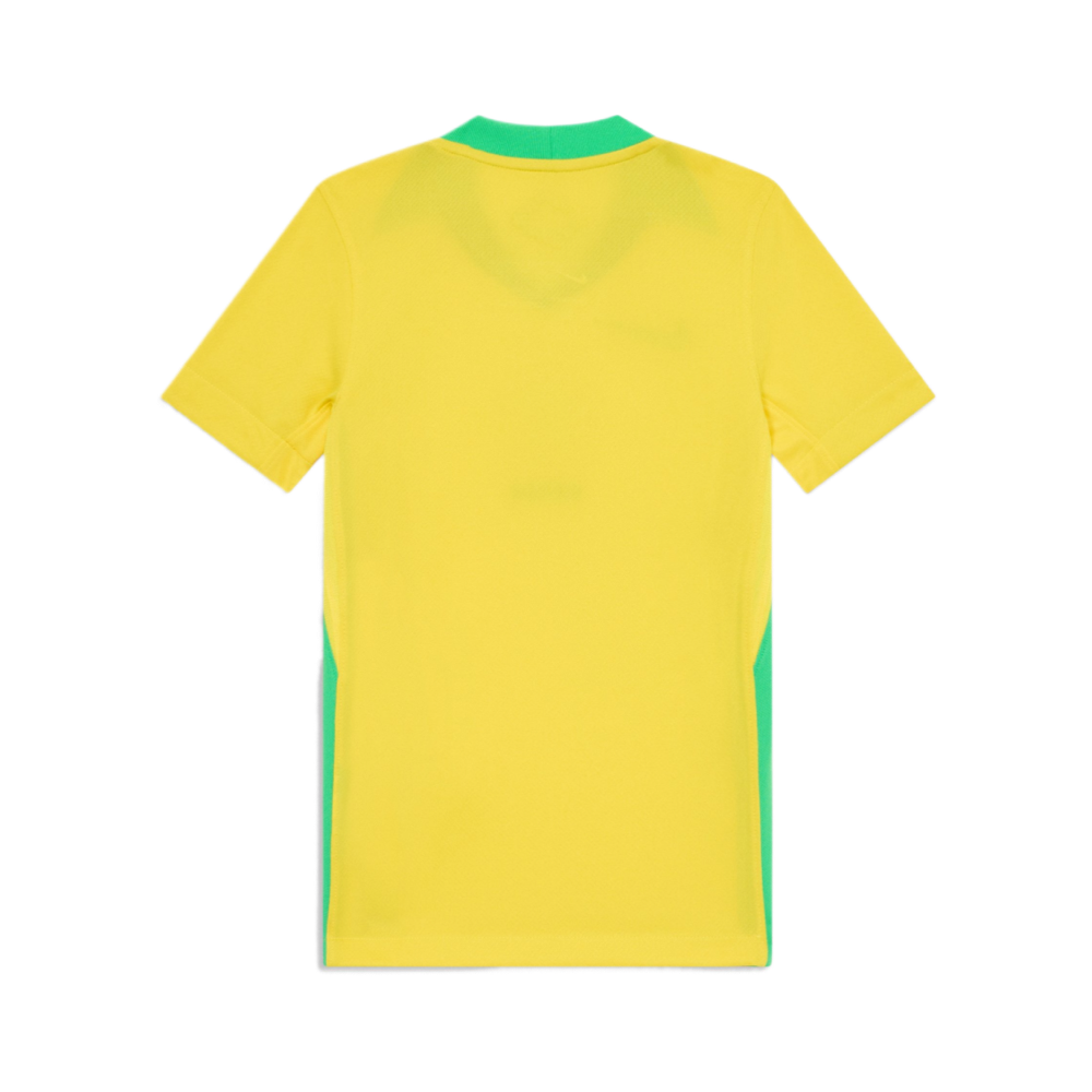 2025 Brazil Home