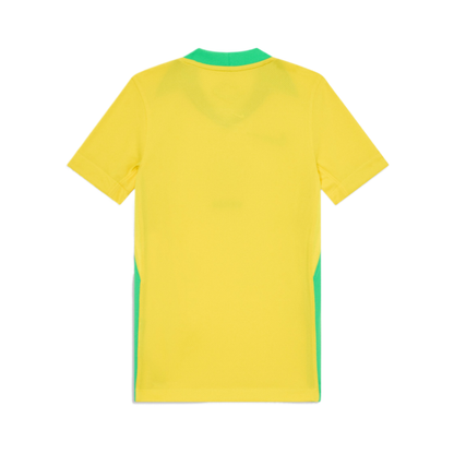 2025 Brazil Home