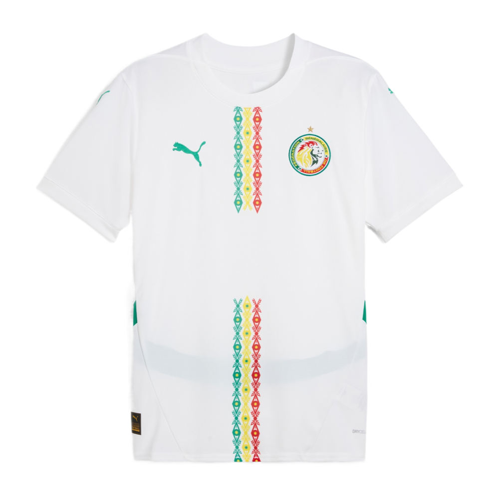 2025 Senegal Home