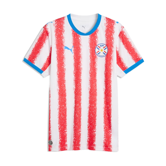 2026 Paraguay Local