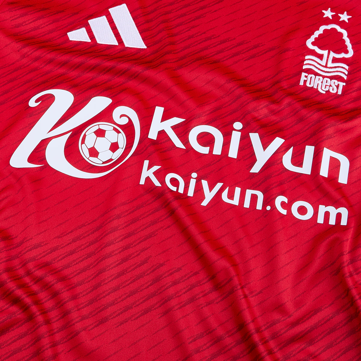 2024-25 Nottingham Forest FC Home