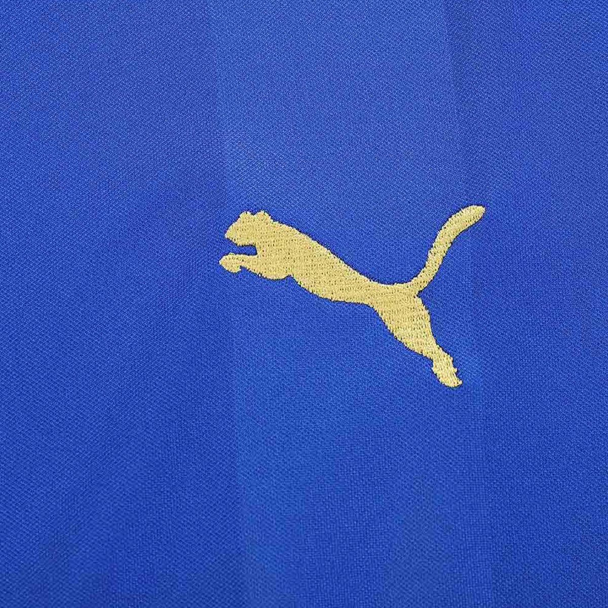2015-16 Leicester City FC Home